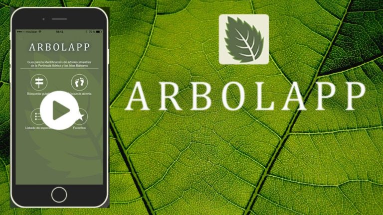 Las mejores apps móviles para cuidar el medio ambiente